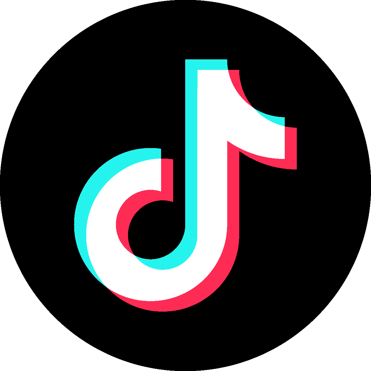 Logo enlace de TikTok